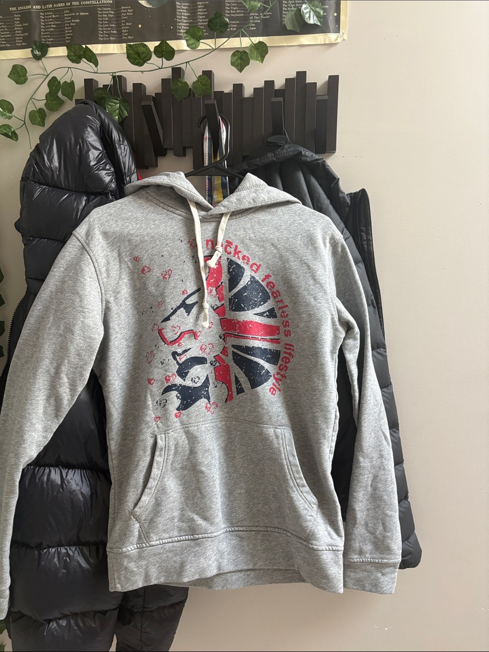 Y2k baggy Men's Grey Graphic Hoodie British flag, lion